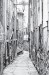 Trieste Cittavecchia - via del Fico, 1968
