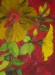 Ibiscus giallo su sfondo rosso scuro - 2011 - tecnica Zen - cm. 58x46