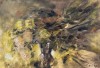 Garofani gialli, 1992 - olio su tela - cm 50x70 (ph Marino Sterle)