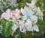 Melo a Primavera, 2017 - olio su tavola - cm 50x60