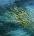 Ciuffi d'erba nell'acqua, acrilico, cm 40x40, 2008